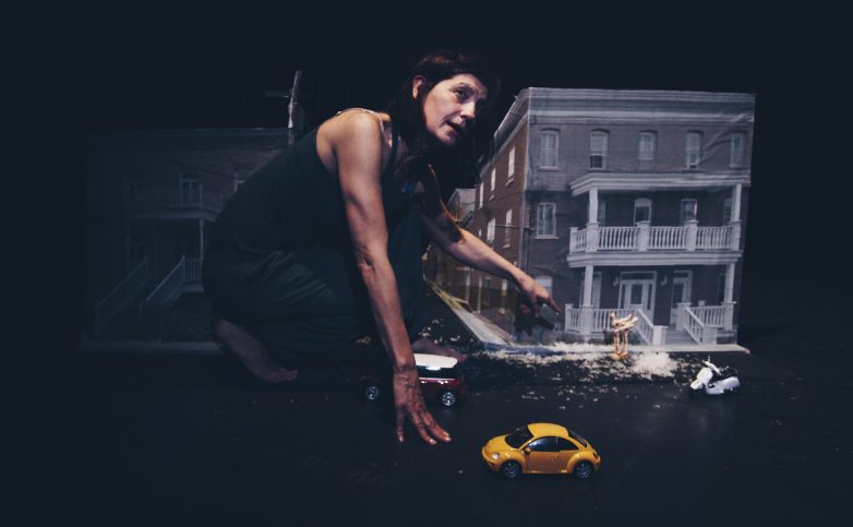 modelos-animales-foto