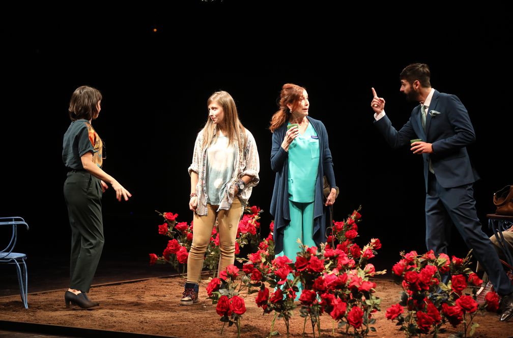 Las cosas que sé que son verdad - Foto