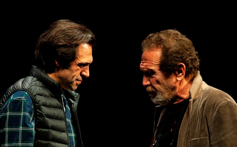 Variaciones enigmáticas - Foto