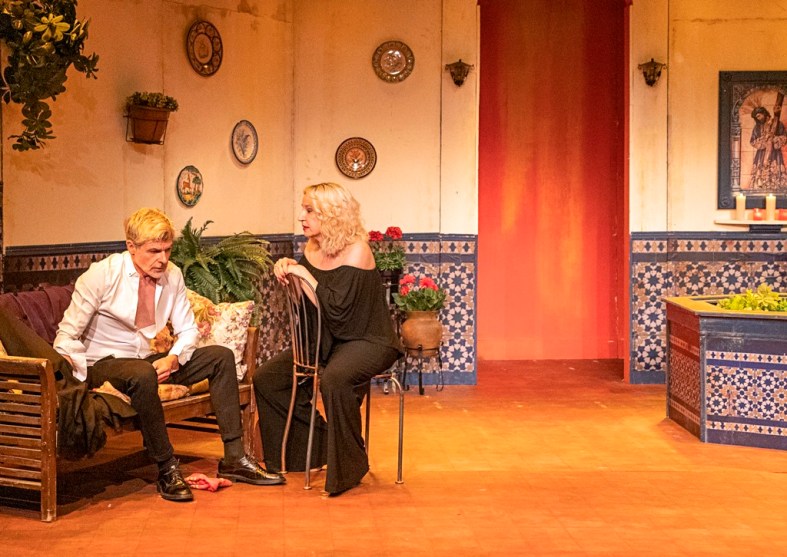 Sobre el caparazón de las tortugas