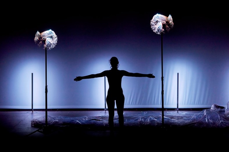 Una isla - Foto de Leafhopper